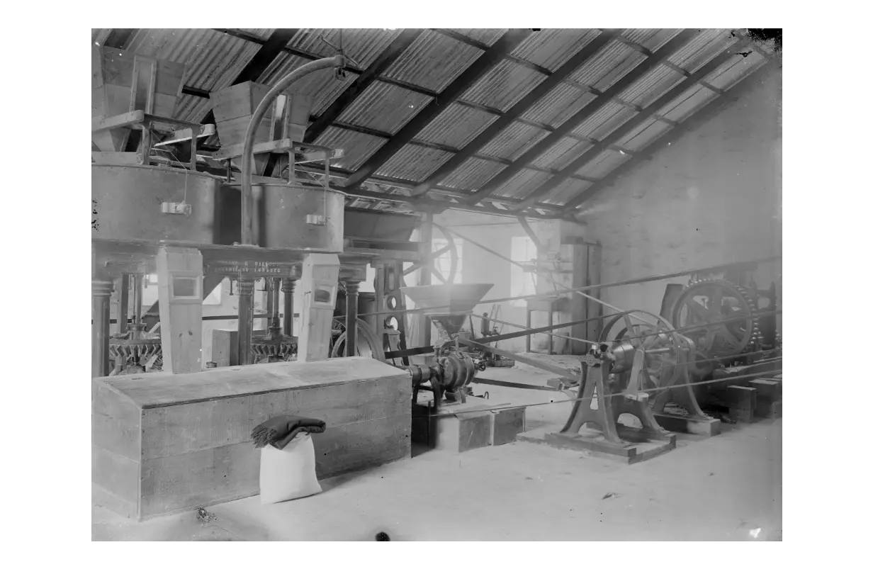 Molina de Barlovento